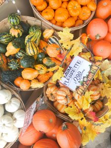 fall pumpkin decorations