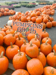fall pumpkins at a stand in Virginia