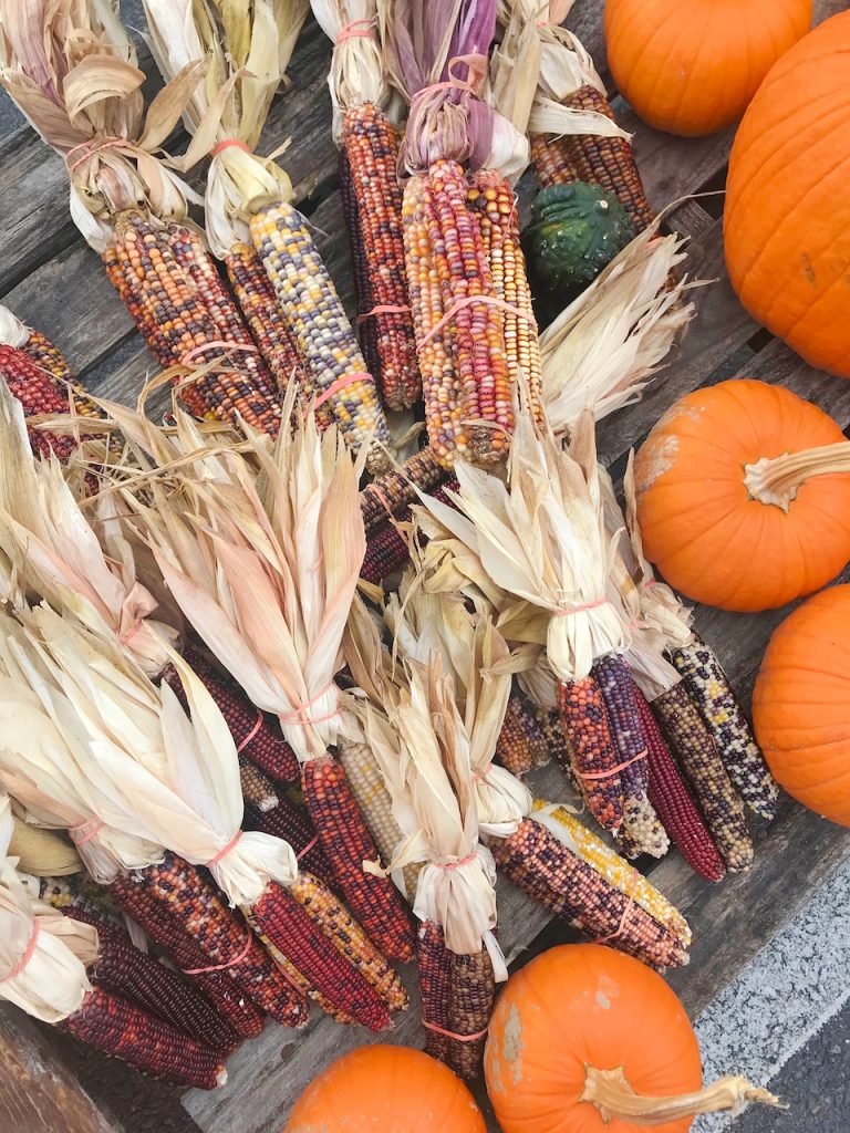 fall corn decor at a stand in Virginia