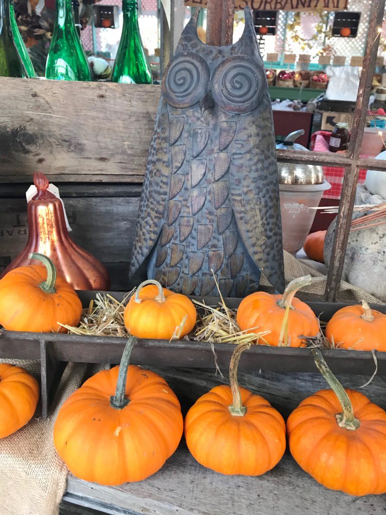 fall decorations at DePaul's