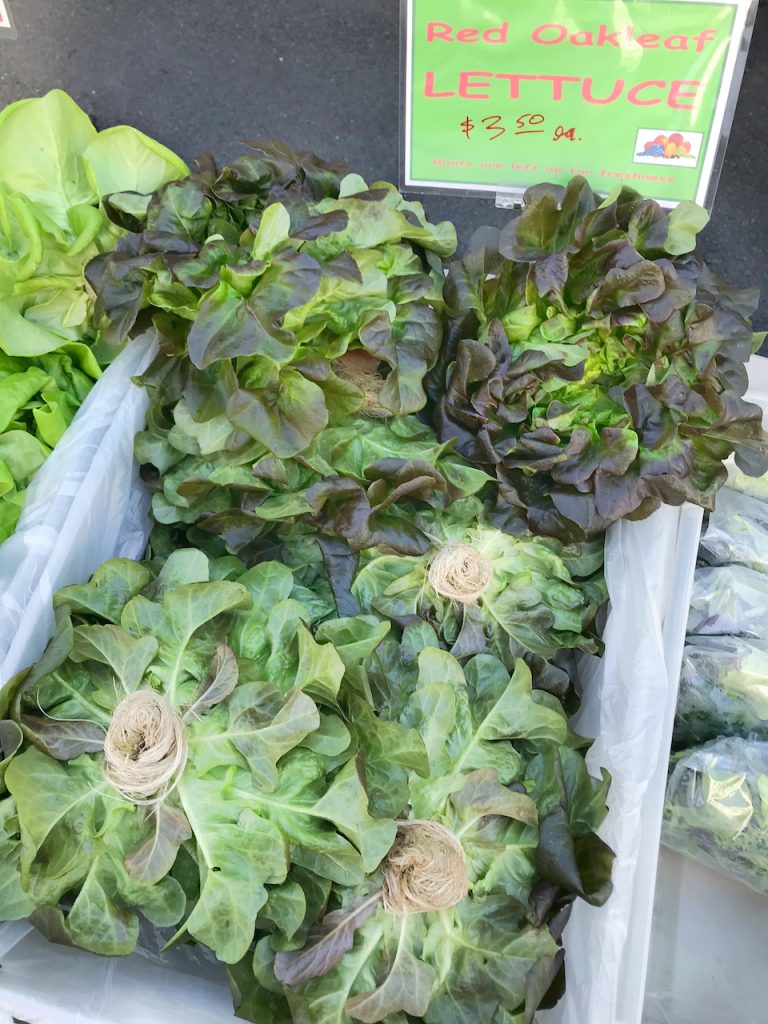 red oakleaf lettuce at the farmers market