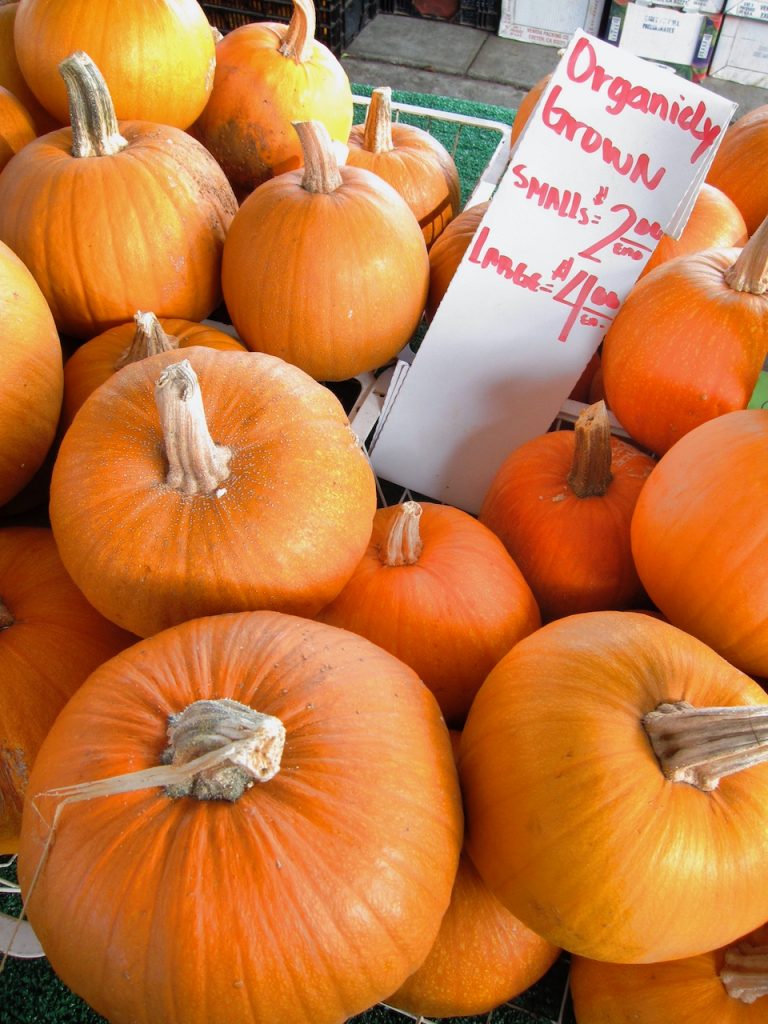 pumpkins at the farmers market