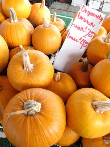 pumpkins at the farmers market