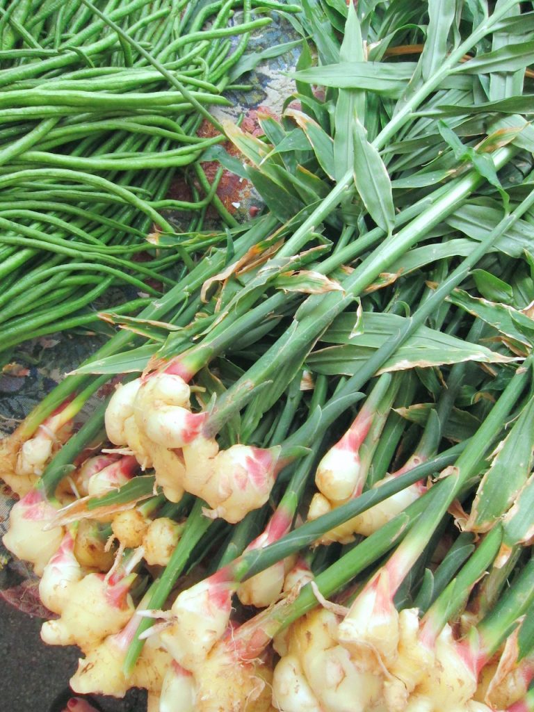 fresh ginger at the farmers market