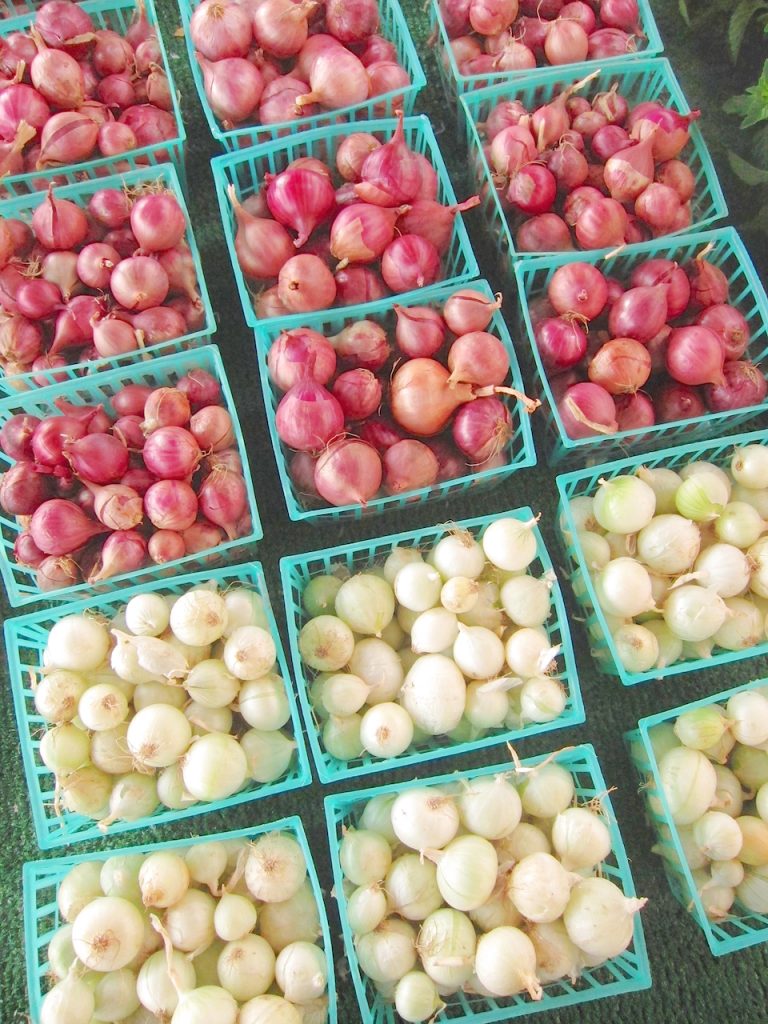 pearl onions at the farmers market