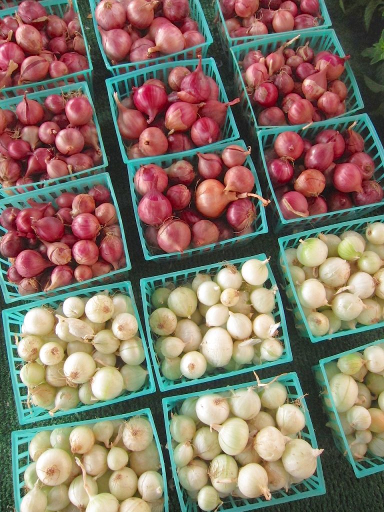 pearl onions at the farmers market