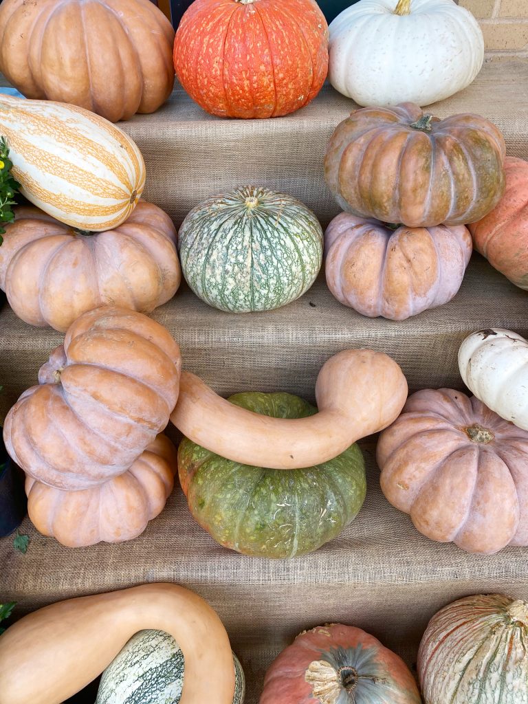 decorative pumpkins
