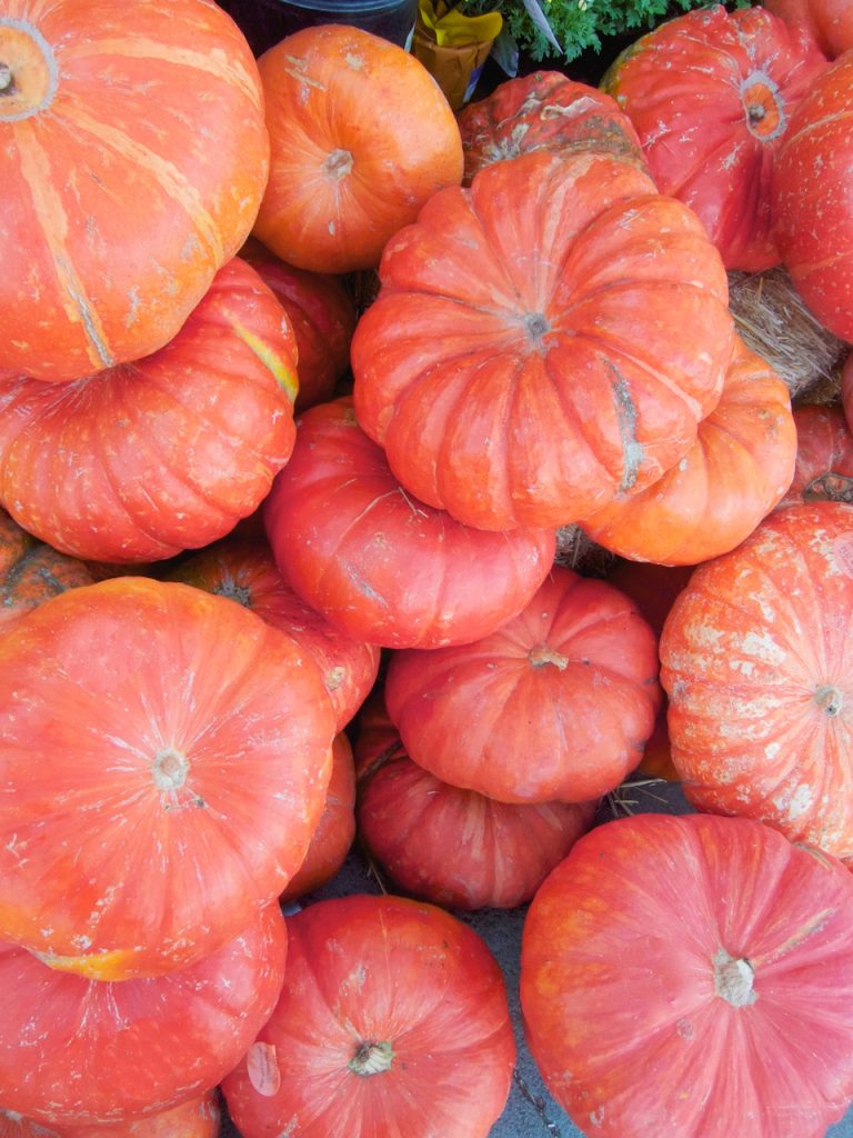 fall decorative pumpkins