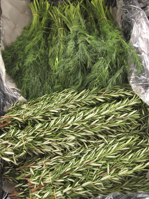 rosemary at the farmers market