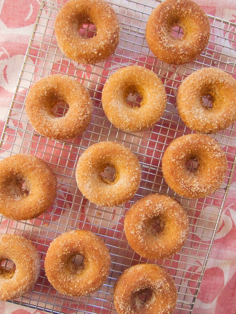 Baked Apple Cider Donuts