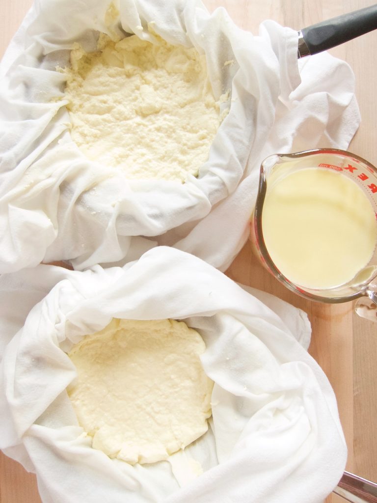 draining homemade cream cheese