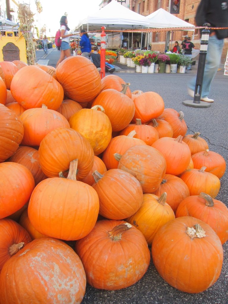 pumpkins at the farmers market