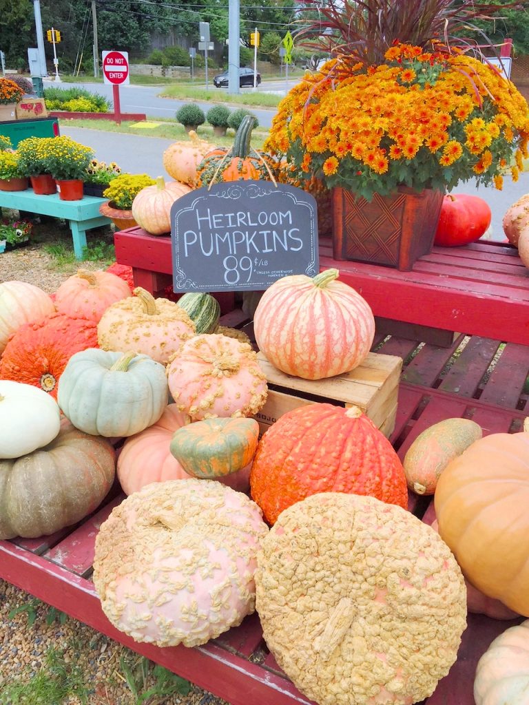 heirloom pumpkins