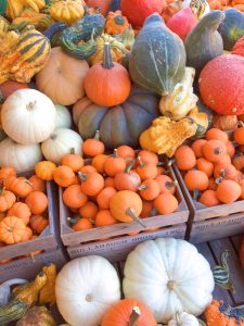 fall decor pumpkins