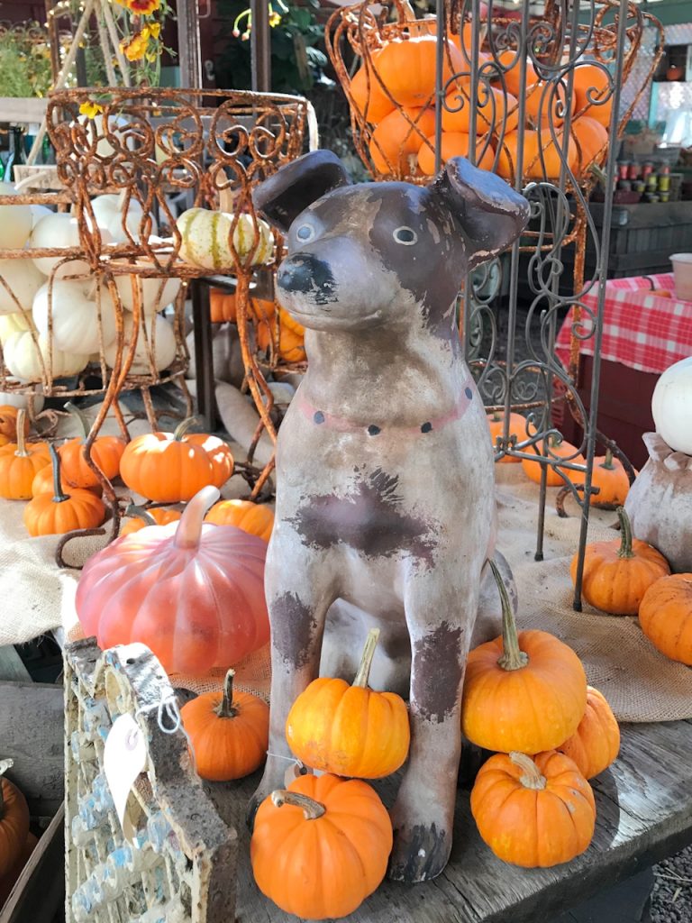 decorative dog