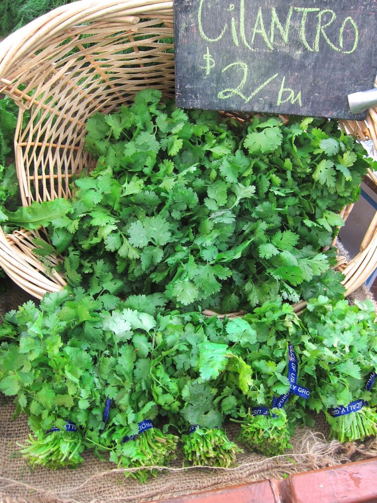 cilantro at the farmers market