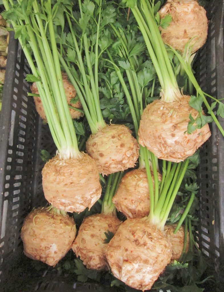 celery root at the farmers market