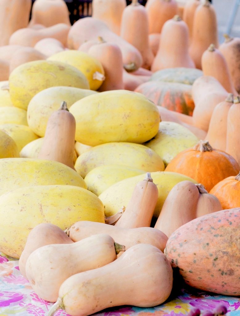 spaghetti squash