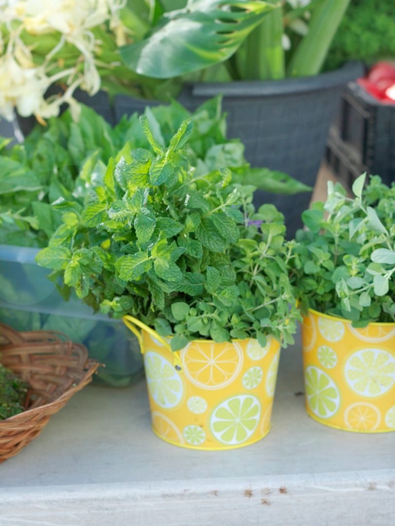 mint in yellow buckets at the farmers market