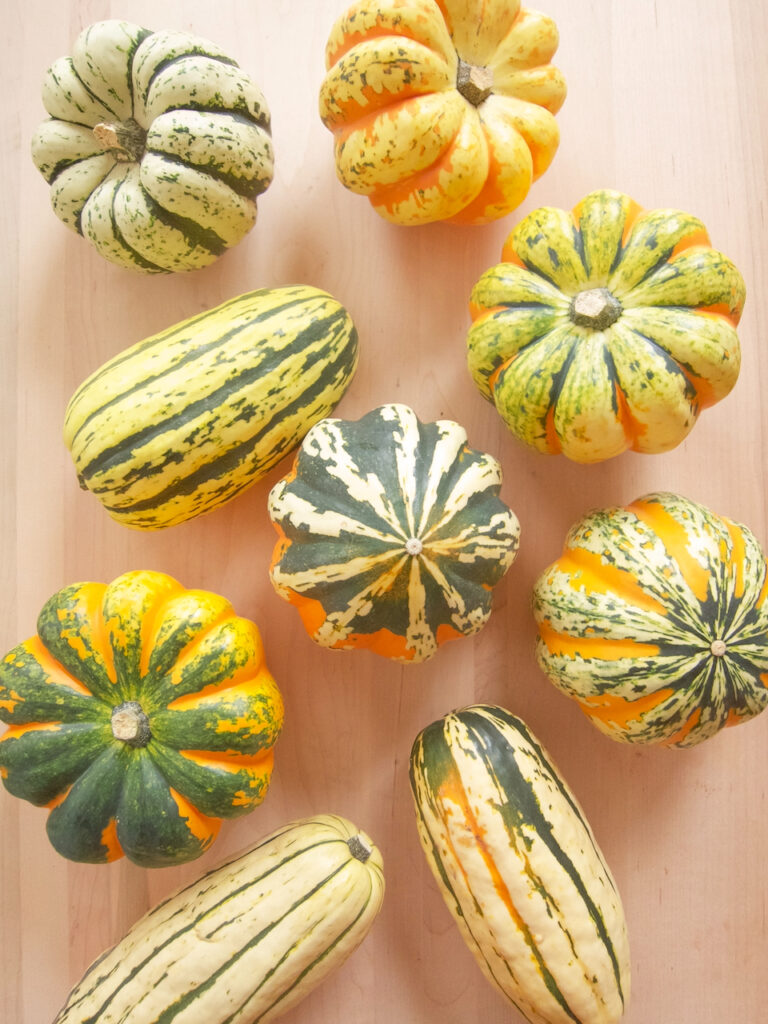 mini winter squash