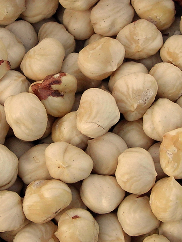 blanched hazelnuts